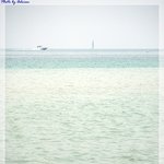 요트와 새가 노니는 ...캐나다 어느 <b>park</b>..