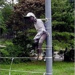 살벌한 <b>허수</b>아비