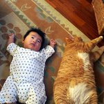 둘째는 입양보낼까<b>부다</b>