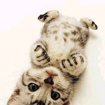 <b>우왕</b>^___^벌러덩