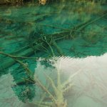 에메랄드빛 호수의 <b>물속</b>