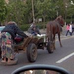 바퀴의 <b>심오</b>한 용도?!