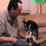 응급<b>처치</b> 배우는 멍군