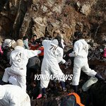 <b>태안</b>반도에서 이것도 짱!!