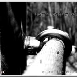 버리고 벼려....
