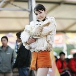 미녀와야수 - 레이싱걸 <b>신영</b>과 애완고양이