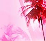 <b>블로그</b>에 쓰세요....