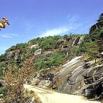 <b>선유</b>구곡-괴산