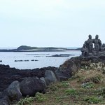 <b>천연</b>기념물 19호 - 제주 구좌읍 문주란 자생지