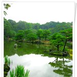 오늘 저 혼자만 <b>올리</b>내예2