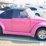 <b>original</b> beetle