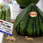 일본에서 출시된 피라미드 형 <b>수박</b>이라고 합니다.