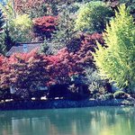 <b>고풍</b>스러운 아름다움