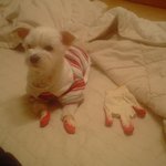 우리 주인님은 <b>알뜰</b>해