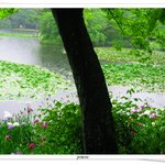 오늘 저 혼자만 <b>올리</b>내예4