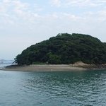 천연기념물 28호 - <b>주도</b> 상록수림