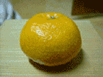 손 안대고 귤까기 <b>신동</b>!!
