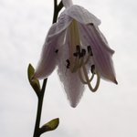 이름은 <b>모름</b>더 기냥 올림더.