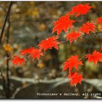 <b>calm</b> and passion