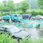 <b>오장육부</b>가 뒤틀리는 사진