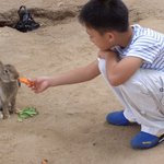 쥬쥬 <b>테마</b> 동물원에서