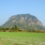 천연기념물 376호 - 산방산 암벽식물<b>지대</b>