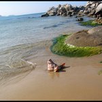 <b>해변</b>의돼지머리