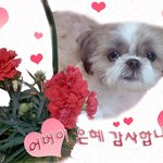 어버이날 인사