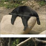 너무 <b>편한</b> 자세.