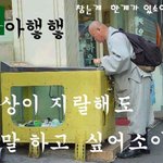 <b>스님</b>도 놀고 싶다.