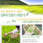 직접 만들어먹는 <b>녹차</b>