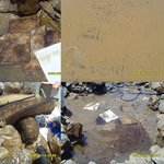 아직<b>태안</b>은요 ,