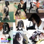 ★사례금  50십만원★ 도와주십시요