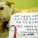 절라 어이없는  개이버 뉴스를 보니