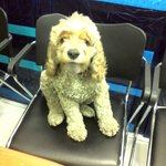 인천<b>만수동</b>-개주인 찾아요