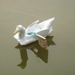 <b>오리</b>야 지못미ㅠ