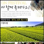 5월은 축제의 달! <b>테마</b>별 축제 리스트