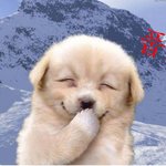 여자친구가 크다고 자꾸 피해요 방법없나요!!