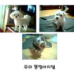 내<b>동생들</b>....그리고 안녕