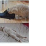 <b>단지</b> 그의 향기를..