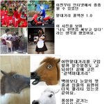 말대가리쓰고 <b>서울구경</b> 했서요~!!!