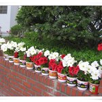 <b>사발</b>면 용기 재활용하기