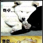 잠자기 <b>달인</b>들의 모습~뜨~헉