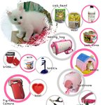 고양이 <b>용품</b>들 모음