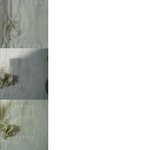 사진-생리대도 맘놓고못쓰겠습니다;예ㅈ미인