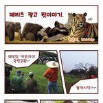 <b>메리츠</b> 광고 뒷이야기