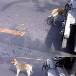 세상에 이럴 수가 있나요~!!!!!!!!!!!!!!!!