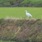 벌써 졸립니다.