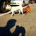 위기의 순간 3<b>초전</b>...