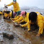 태안군청, 자원봉사자가 필요없다고 하지만
